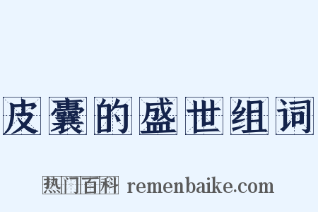 皮囊的盛世组词是什么意思的图片